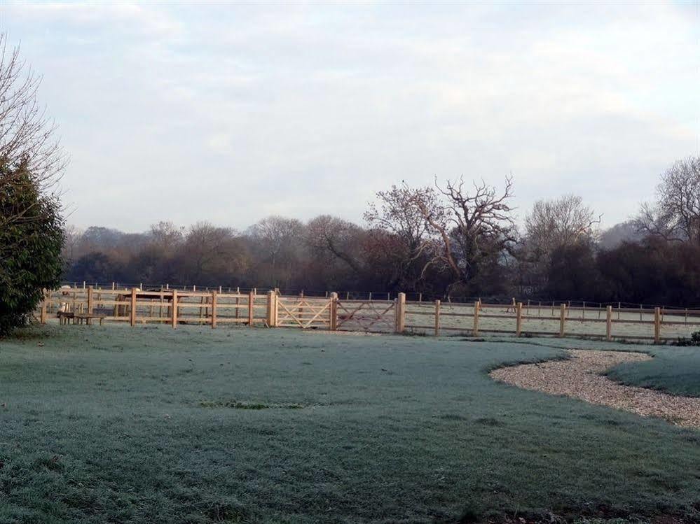Huxham Farmhouse Bed & Breakfast East Pennard ภายนอก รูปภาพ
